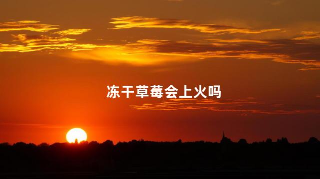 冻干草莓会上火吗
