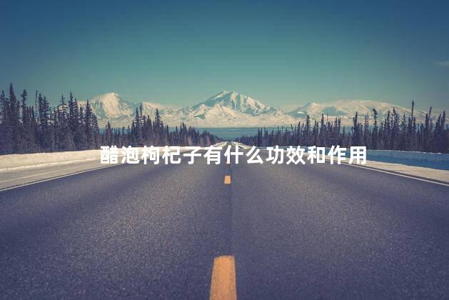 醋泡枸杞子有什么功效和作用 醋泡枸杞子有什么功效和作用