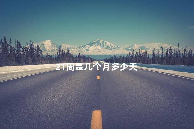 21周是几个月多少天