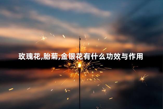 玫瑰花,胎菊,金银花有什么功效与作用