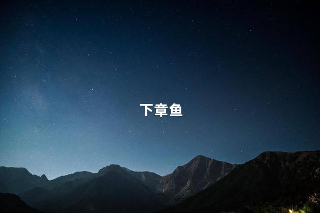 下章鱼 下章鱼