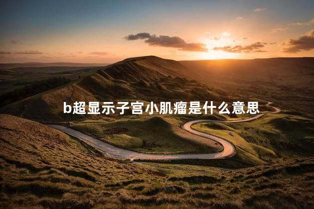 b超显示子宫小肌瘤是什么意思 b超显示子宫小肌瘤是什么意思
