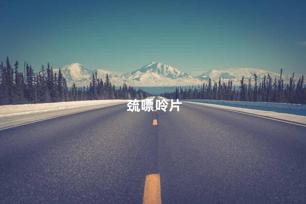 巯嘌呤片