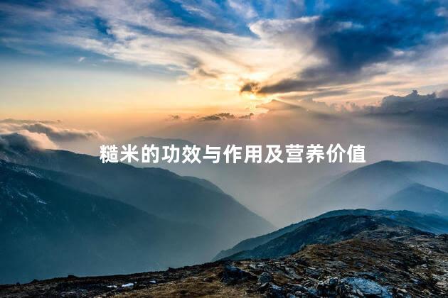 糙米的功效与作用及营养价值