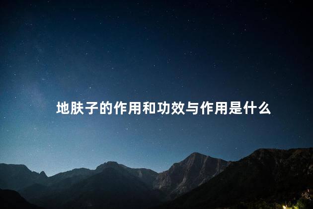 地肤子的作用和功效与作用是什么 地肤子的作用和功效与作用是什么