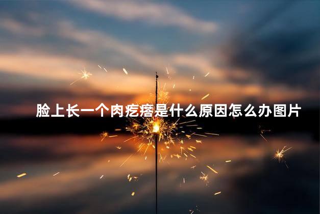 脸上长一个肉疙瘩是什么原因怎么办图片 脸上长一个肉疙瘩是什么原因怎么办图片