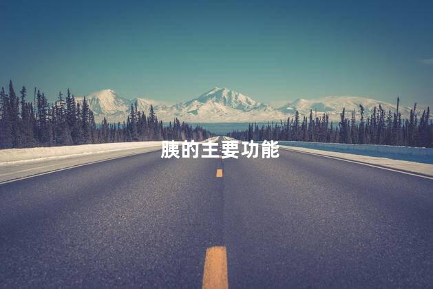 胰的主要功能 胰的主要功能
