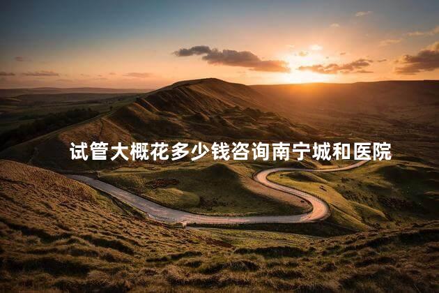 试管大概花多少钱咨询南宁城和医院 试管大概花多少钱咨询南宁城和医院