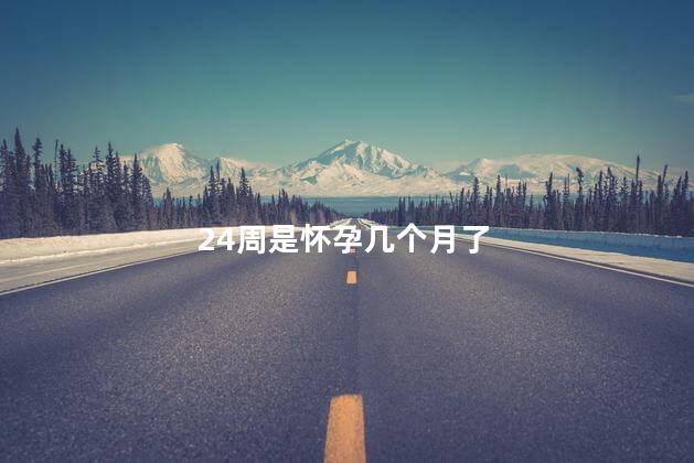 24周是怀孕几个月了