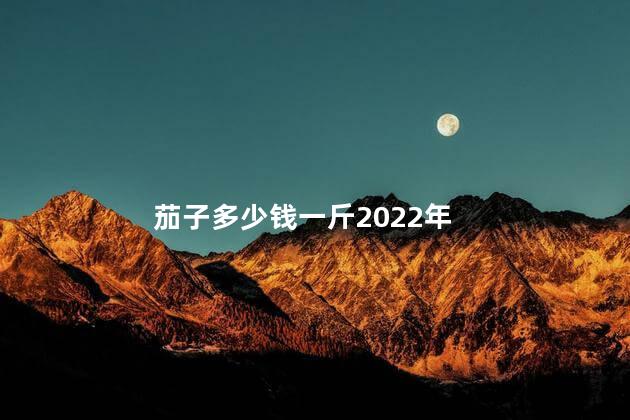 茄子多少钱一斤2022年 茄子多少钱一斤2022年