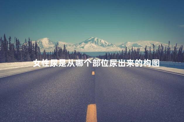 女性尿是从哪个部位尿出来的构图