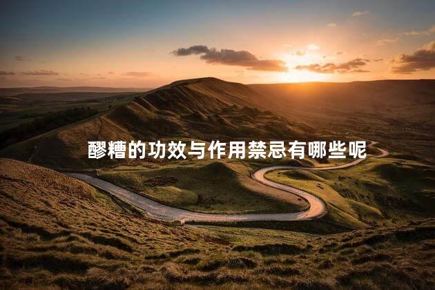 醪糟的功效与作用禁忌有哪些呢 醪糟的功效与作用禁忌有哪些呢