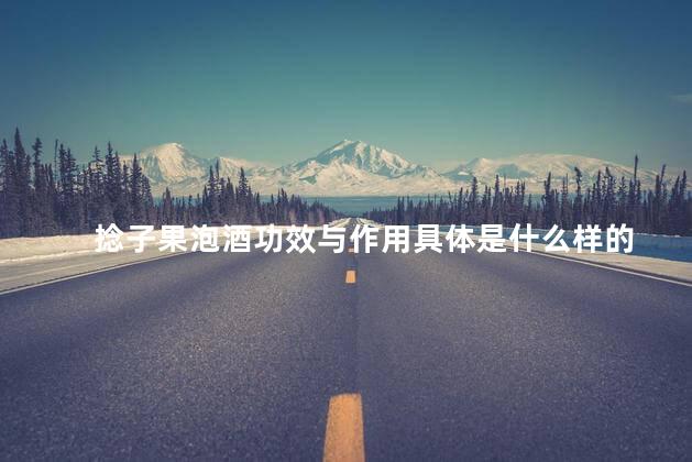 捻子果泡酒功效与作用具体是什么样的 捻子果泡酒功效与作用具体是什么样的