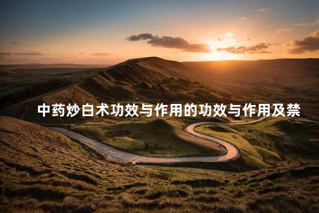 中药炒白术功效与作用的功效与作用及禁忌症