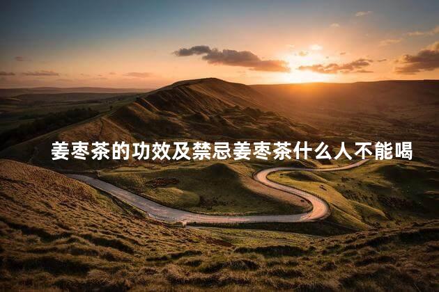 姜枣茶的功效及禁忌姜枣茶什么人不能喝 姜枣茶的功效及禁忌姜枣茶什么人不能喝
