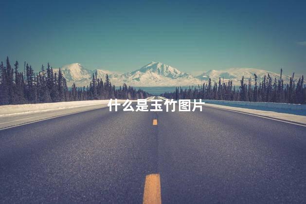 什么是玉竹图片