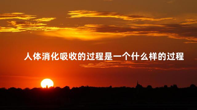 人体消化吸收的过程是一个什么样的过程 人体消化吸收的过程是一个什么样的过程