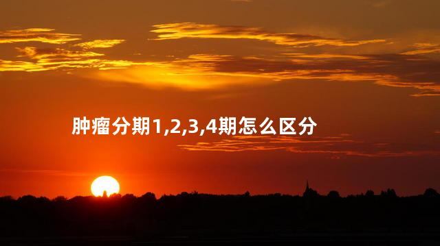 肿瘤分期1,2,3,4期怎么区分 肿瘤分期1,2,3,4期怎么区分