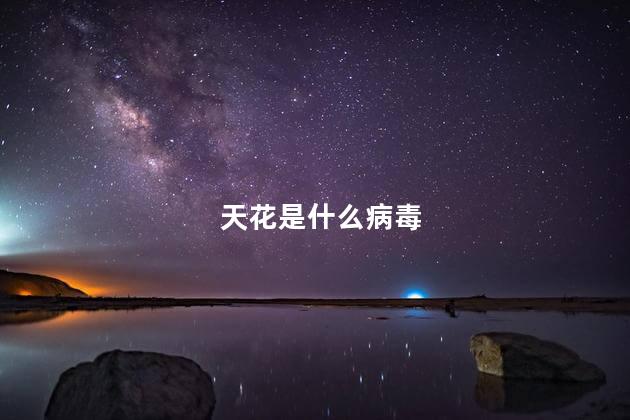 天花是什么病毒 天花是什么病毒