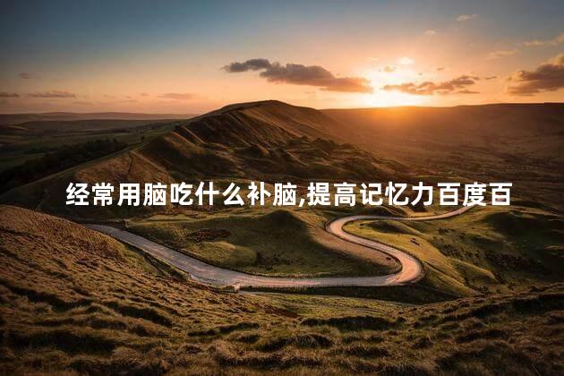 经常用脑吃什么补脑,提高记忆力百度百科