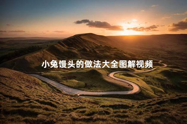 小兔馒头的做法大全图解视频 小兔馒头的做法大全图解视频