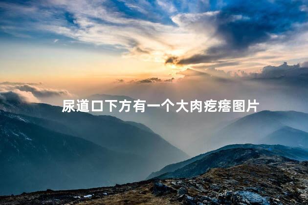尿道口下方有一个大肉疙瘩图片 尿道口下方有一个大肉疙瘩图片