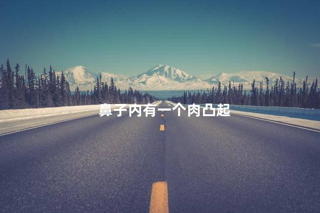 鼻子内有一个肉凸起