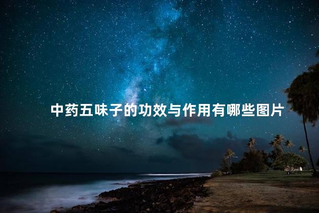 中药五味子的功效与作用有哪些图片 中药五味子的功效与作用有哪些图片