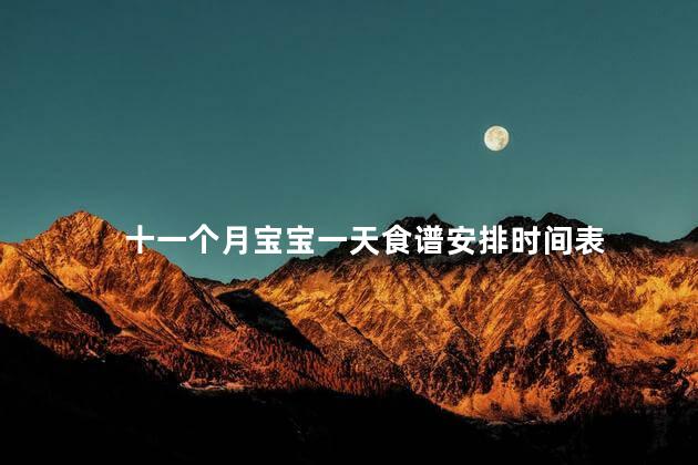十一个月宝宝一天食谱安排时间表 十一个月宝宝一天食谱安排时间表