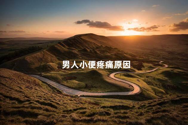 男人小便疼痛原因 男人小便疼痛原因