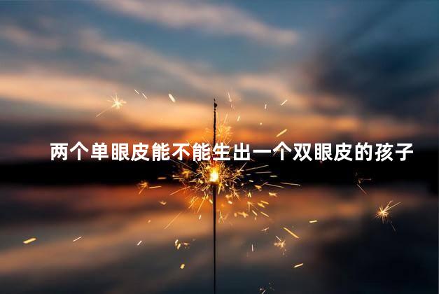 两个单眼皮能不能生出一个双眼皮的孩子