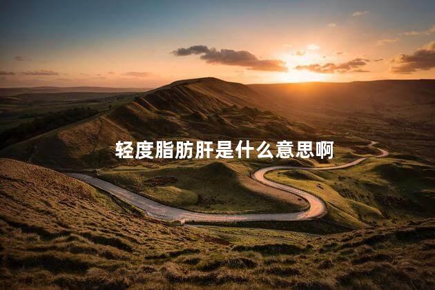轻度脂肪肝是什么意思啊 轻度脂肪肝是什么意思啊