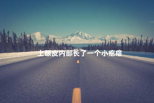 上眼皮内部长了一个小疙瘩 上眼皮内部长了一个小疙瘩
