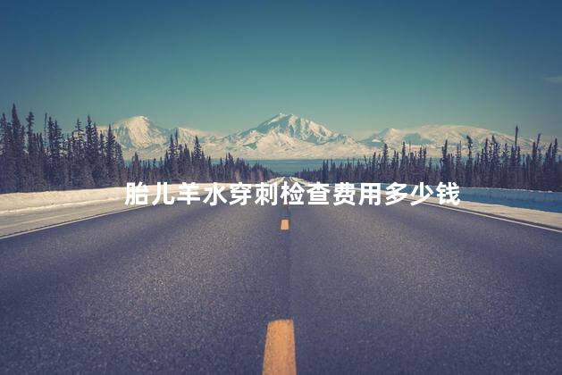 胎儿羊水穿刺检查费用多少钱