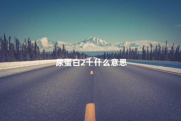 尿蛋白2十什么意思 尿蛋白2十什么意思