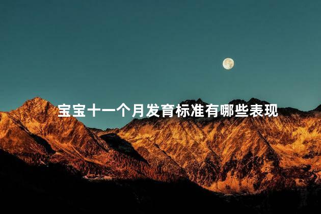 宝宝十一个月发育标准有哪些表现 宝宝十一个月发育标准有哪些表现
