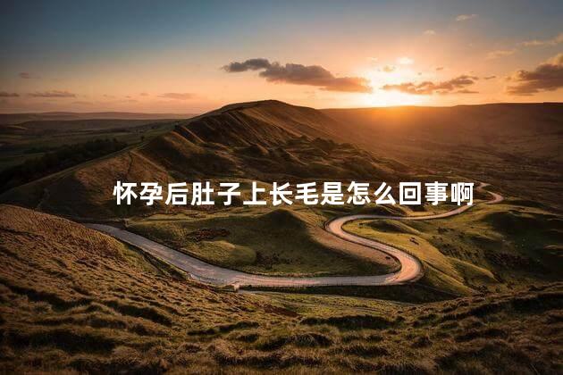 怀孕后肚子上长毛是怎么回事啊 怀孕后肚子上长毛是怎么回事啊