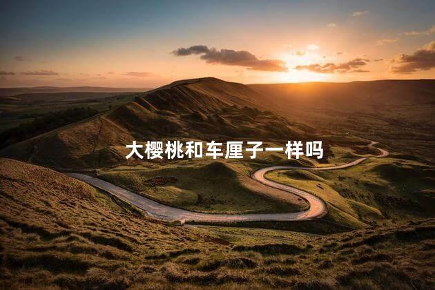 大樱桃和车厘子一样吗 大樱桃和车厘子一样吗