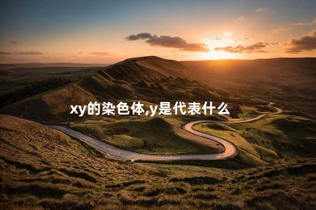 xy的染色体,y是代表什么 xy的染色体,y是代表什么