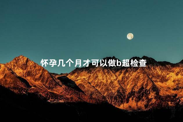 怀孕几个月才可以做b超检查 怀孕几个月才可以做b超检查