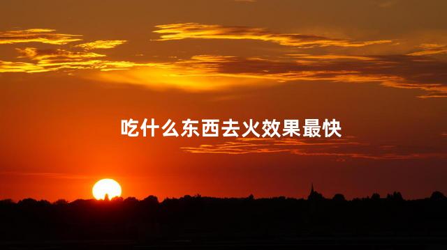 吃什么东西去火效果最快 吃什么东西去火效果最快