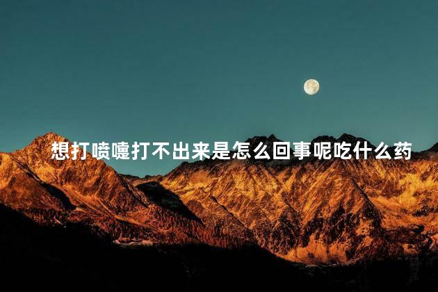 想打喷嚏打不出来是怎么回事呢吃什么药