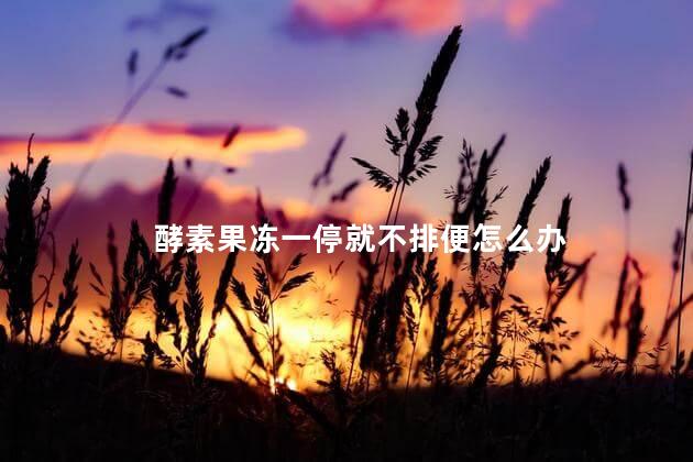 酵素果冻一停就不排便怎么办