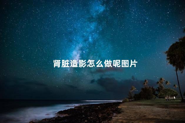 肾脏造影怎么做呢图片 肾脏造影怎么做呢图片