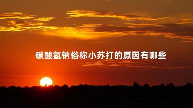 碳酸氢钠俗称小苏打的原因有哪些 碳酸氢钠俗称小苏打的原因有哪些