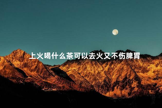 上火喝什么茶可以去火又不伤脾胃 上火喝什么茶可以去火又不伤脾胃