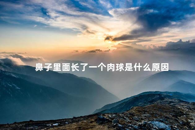 鼻子里面长了一个肉球是什么原因 鼻子里面长了一个肉球是什么原因