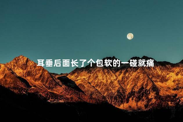 耳垂后面长了个包软的一碰就痛