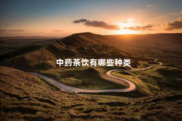 中药茶饮有哪些种类 中药茶饮有哪些种类