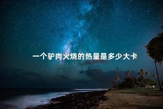 一个驴肉火烧的热量是多少大卡 一个驴肉火烧的热量是多少大卡